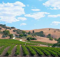 Bethany Wines - Gold Coast 4U