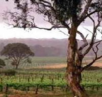 Yangarra Estate Vineyard - Accommodation Gold Coast