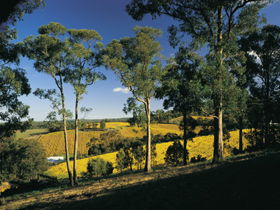Lobethal SA Gold Coast 4U