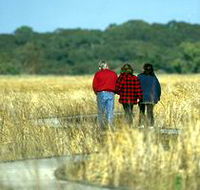 Onkaparinga River Recreation Park - Accommodation Gold Coast