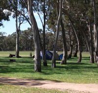Black Cockatoo Bush Camp - Accommodation Gold Coast