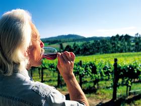 Ashton Hills Vineyard - Accommodation Gold Coast 0