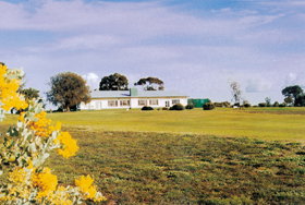 Lucindale Country Club - Accommodation Gold Coast 0