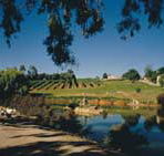 Mount Hurtle Winery home of Geoff Merrill Wines - Accommodation Gold Coast