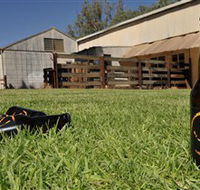 Wilkadene Woolshed Brewery - Gold Coast 4U