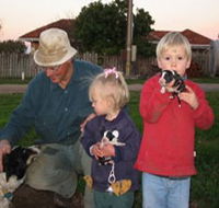 Orrie Cowie Merino and Poll Merino Stud - Accommodation Gold Coast