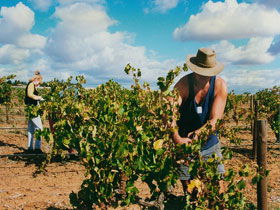 Torbreck Vintners - 1 Gold Coast 0
