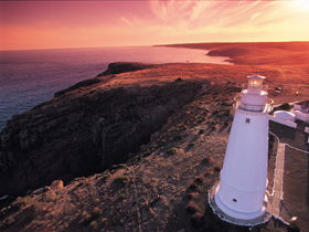 Lashmar Conservation Park - Gold Coast 4U 0