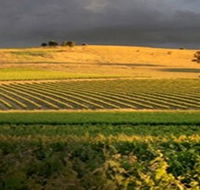 Kellermeister Wines - Accommodation Gold Coast