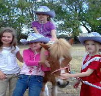 Amberainbow Pony Rides - Accommodation Gold Coast