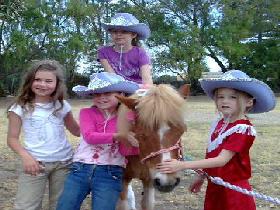 Amberainbow Pony Rides - Accommodation Gold Coast 0