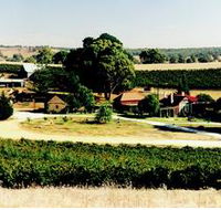 Irvine Wines - Accommodation Gold Coast