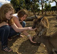 Kangaroo Island Wildlife Park - Accommodation Gold Coast