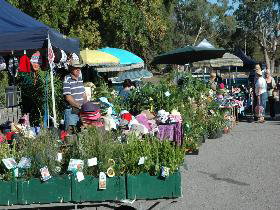 Meadows Monthly Market - Accommodation Gold Coast 0