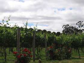 Accommodation Gold Coast