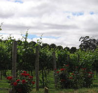 Manyara Vineyard - Accommodation Gold Coast