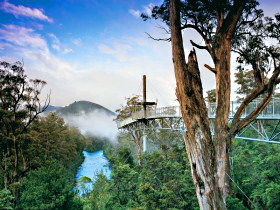  Accommodation Gold Coast