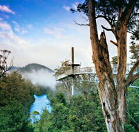 Tahune Adventures Tasmania - Accommodation Gold Coast