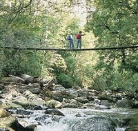 Arve Forest Drive - Accommodation Gold Coast