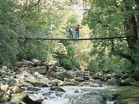 Arve Forest Drive - Accommodation Gold Coast 0