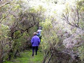 Jack And Hilda McArthur Walk - Accommodation Gold Coast 0
