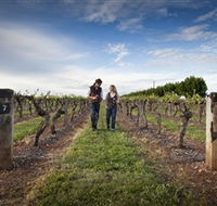 Coonawarra Wineries Walking Trail - Accommodation Gold Coast