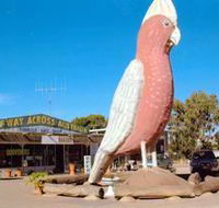 The Big Galah - Accommodation Gold Coast