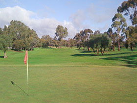 Regency Park Golf Course - Accommodation Gold Coast 0