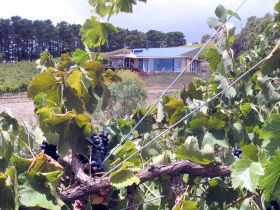 Zimmermann Wine - Accommodation Gold Coast 0