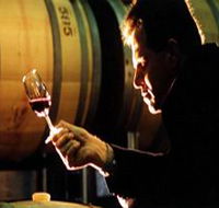 Salena Estate Wines - Gold Coast 4U