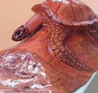 Ants Redgum Gallery - Accommodation Gold Coast