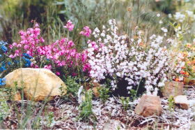 Stokes Bay Bush Garden - Accommodation Gold Coast 0