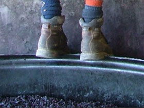 Fall From Grace - Accommodation Gold Coast 0