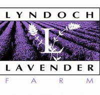 Lyndoch Lavender Farm and Cafe - Accommodation Gold Coast