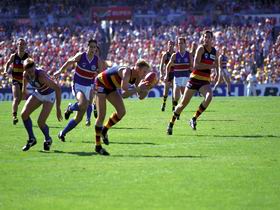 AAMI Stadium Tours - Accommodation Gold Coast 0