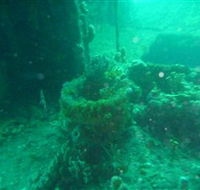 Wallaroo Scuba Club - Accommodation Gold Coast