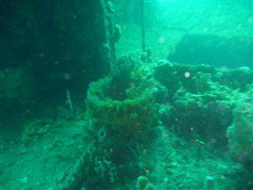 Wallaroo Scuba Club - Accommodation Gold Coast 0