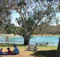 Naracoorte Nature Park and Swimming Lake - Accommodation Gold Coast