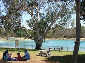 Naracoorte Nature Park And Swimming Lake - Accommodation Gold Coast 0
