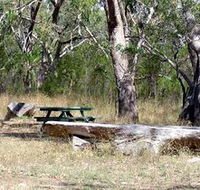 Penola Conservation Park - Accommodation Gold Coast