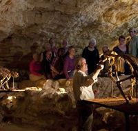 Naracoorte Caves National Park - Accommodation Gold Coast