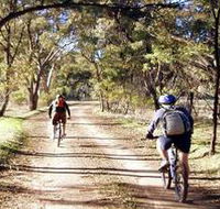 Bike About Mountain Bike Tours And Hire - Accommodation Gold Coast