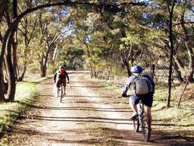 Bike About Mountain Bike Tours And Hire - Accommodation Gold Coast 0