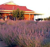 Bella Lavender Estate - Gold Coast 4U