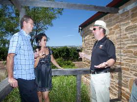 Shingleback Wine Cellar Door - 1 Gold Coast 0