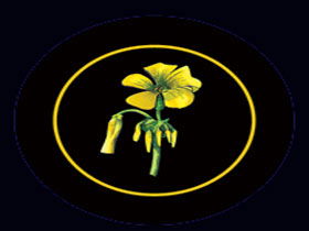 Battle Of Bosworth Wines - Accommodation Gold Coast 0