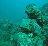 Adelaide's Underwater Heritage Trail - Accommodation Gold Coast
