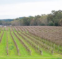 Dennis Wines - Accommodation Gold Coast