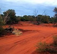 Tallaringa Conservation Park - Accommodation Gold Coast