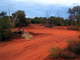 Tallaringa Conservation Park - 1 Gold Coast 0